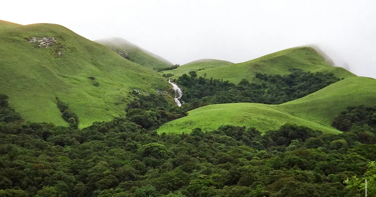 Western Ghats Conservation Movement Gains Momentum Ahead of October 10 Bengaluru Protest